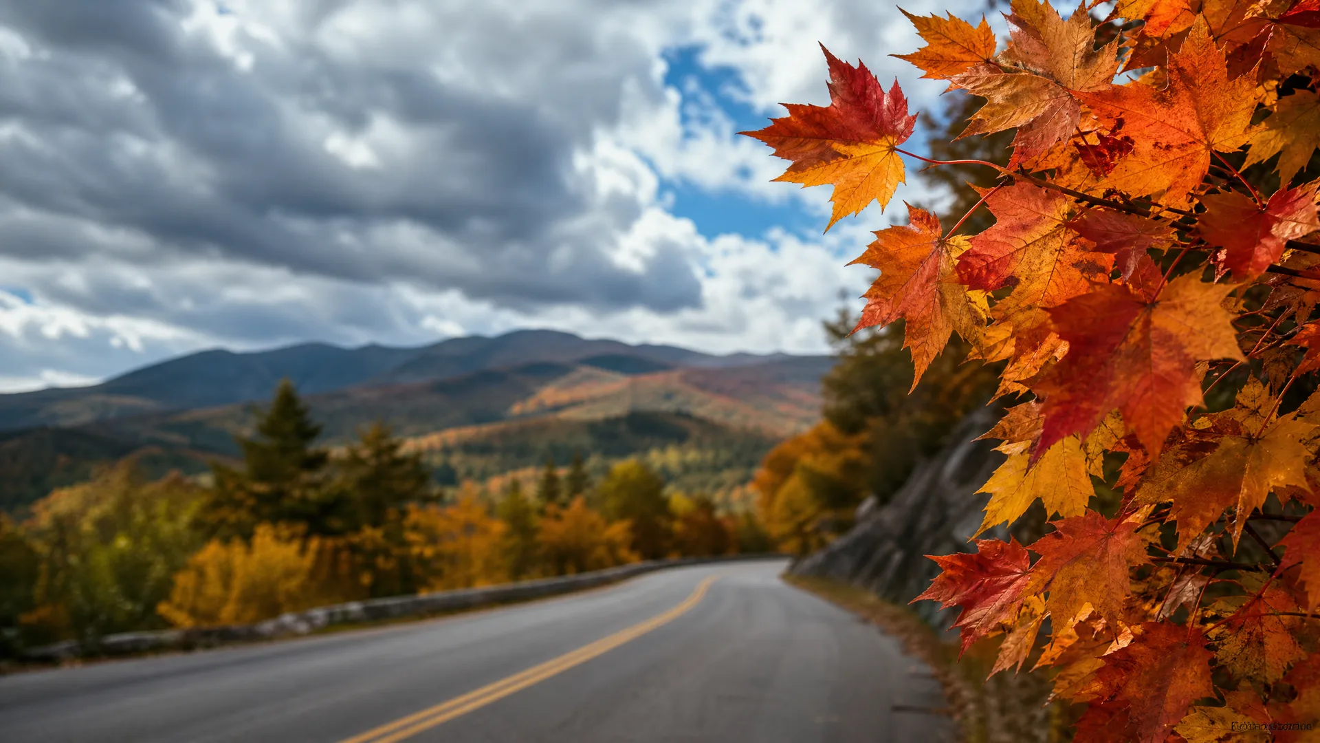 A curving two-lane road with a yellow center line runs past a rock cut, with orange and red maple leaves in sharp focus at right and blurred forested mountains under a cloudy sky in the distance.